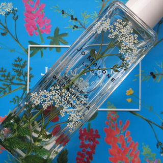 Hintergrund: Eine der limitierten Geschenkdosen, die man beim Kauf von zwei Flakons der Wild Flowers & Weeds Serie bekommt und die es in drei Farben gibt (Blau, Grün, Schwarz).