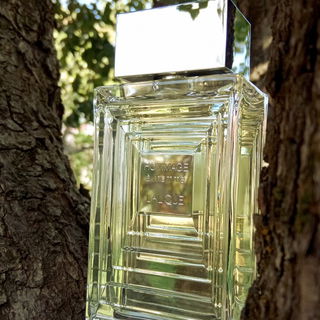 Hommage à l'Homme (Eau de Toilette) by Lalique