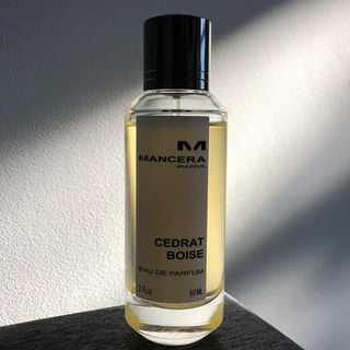 Cedrat Boise von Mancera