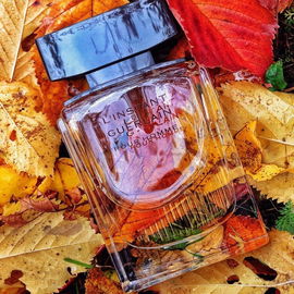 Herod - Parfums de Marly
