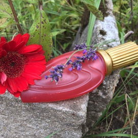 Un Été En Provence - Escada