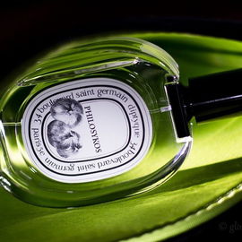 Philosykos (Eau de Toilette) - Diptyque