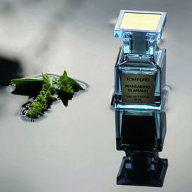 Mandarino di Amalfi (Eau de Parfum) - Tom Ford