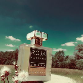 Amber - Roja Parfums