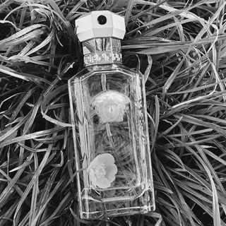 The Dreamer (Eau de Toilette) von Versace
