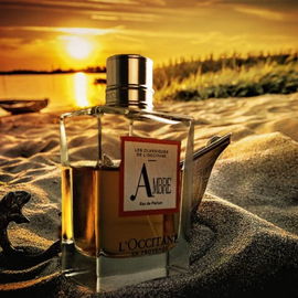 Ambre (2016) - L'Occitane en Provence