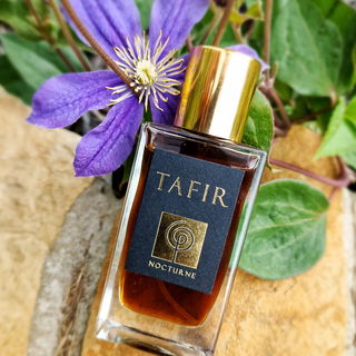 Tafir (Extrait) - Nocturne