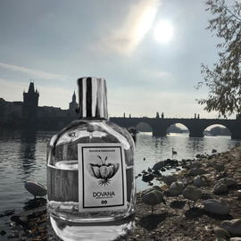 Nice Places.. Die Karlsbrücke in Prag (ein Überlagerungsversuch mit einem Urlaubsbild)