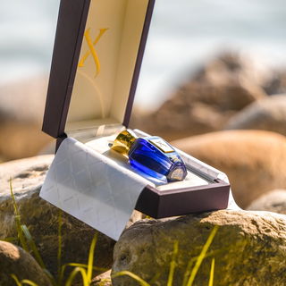 Comandante! - Xerjoff