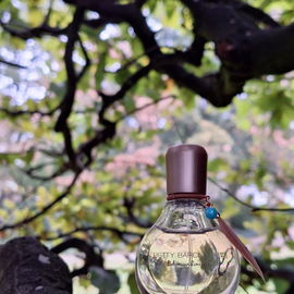 Bohemian Romance (Eau de Toilette) - Betty Barclay