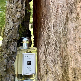 Der große Beschützer // Danke, für eure lieben Kommentare und 🏆. Ich habe mich darüber sehr gefreut 😍