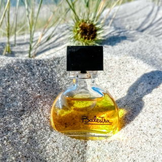 der Sommer möchte noch ein wenig verweilen, und ich möchte das auch - Ihr seid alle herzlich eingeladen, die Sonnenstrahlen in Euer Herz zu lassen 🌞💛