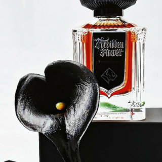 Grapefruitbitter sickert durch asiatisch angehauchte,substanzlose Sommerblässe. Blütenmilchig verquirlt. Luftig gummiert. Skunk degradiert. 🦨💨 Danke allen 💮