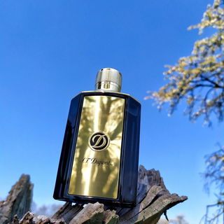 Be Exceptional Gold - S.T. Dupont