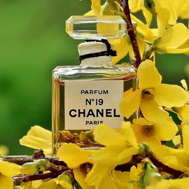 N°19 (Parfum) - Chanel