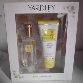 Daisy Sapphire / English Daisy / Royal English Daisy - Yardley