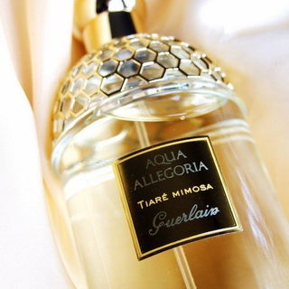 Jimmy Choo (Eau de Parfum) - Jimmy Choo