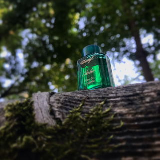 Relax (Eau de Toilette) von Davidoff