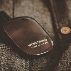 Wonderoud - Comme des Garçons