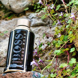 The Scent Magnetic for Him - Hugo Boss