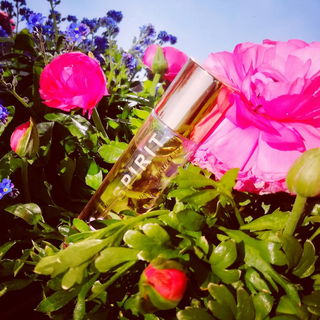 Spirit of Happy Moments - Spirit