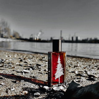 Gingerbread by Pineward