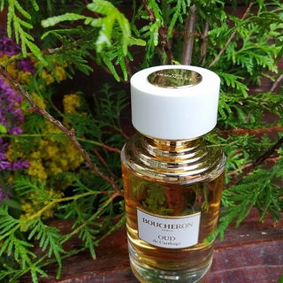 Oud de Carthage - Boucheron