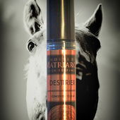 Das alte Schlachtroß (by NuiWhakakore)