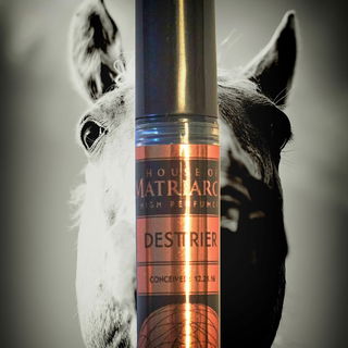 Das alte Schlachtroß