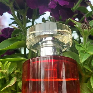 Magnifique (Eau de Parfum) von Lancôme