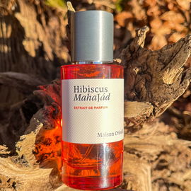 Hibiscus Mahajád - Maison Crivelli