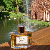 Am Wassergraben vor der Burgruine in Bad Vilbel 💦 Lieben Dank für Eure Aufmerksamkeit 🥰 (by MadameLegras)