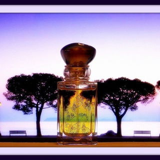 Eine bezaubernde Mitternacht!