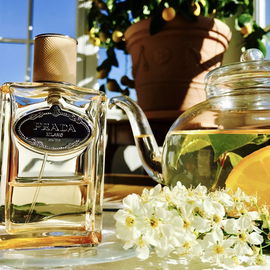 Infusion de Fleur d'Oranger - Prada