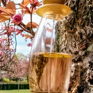 Eau de Murano (Eau de Parfum) - Murano