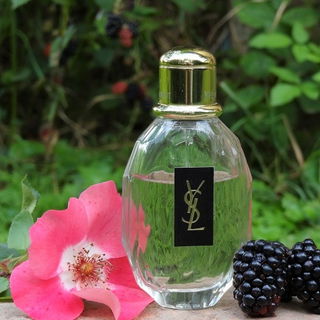 Parisienne (Eau de Parfum) - Yves Saint Laurent
