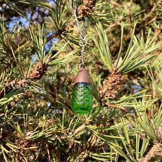 Pino Silvestre (Eau de Cologne) by Pino Silvestre