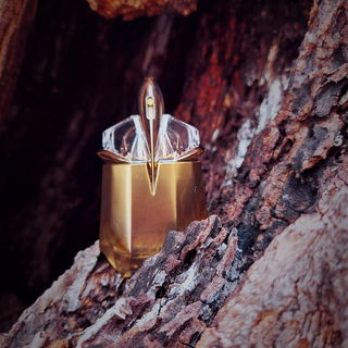 Goddess (Eau de Parfum) - Burberry