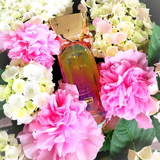 Nexa Musée - Rue Broca