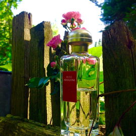 Rose Amazone - Hermès