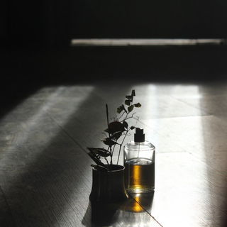 Tellus - Liquides Imaginaires