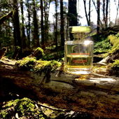 Jayne im Märchenwald (von Rosie88)