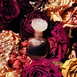 Youth-Dew (Perfume) - Estēe Lauder