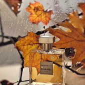 .. when autumn leaves start to fall ...... https://m.youtube.com/watch?v=XTkUplF5VIE (von IrisNobile)