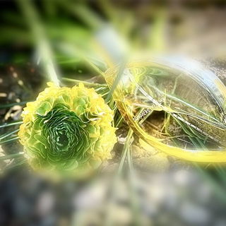 Summer by Kenzo - Kenzo