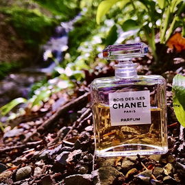 Bois des Îles (Parfum) - Chanel