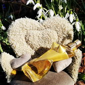 Die Schönheit schläft in der Frühlingssonne und träumt vom Sommer: Vanilleeis am Strand, Salz auf gecremter Haut, weiße Blüten im Haar. 🍦🏖  Ich freue mich immer sehr, wenn ihr vorbei schaut und bedanke mich ganz herzlich für jeden Kommentar.💚 (von GreenIvy)