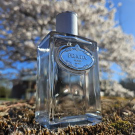 Santal Blanc - Van Cleef & Arpels