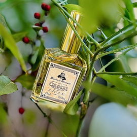 For Men / For Gentlemen - Woods of Windsor