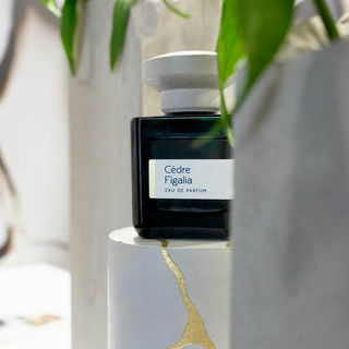 Vici Leather - Electimuss